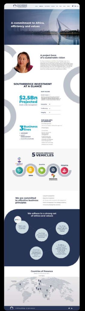 southbridge investment website inside page